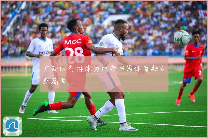 广西以气排球为纽带书写体育融合新篇章