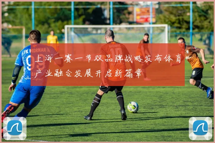 上海一赛一节双品牌战略发布体育产业融合发展开启新篇章